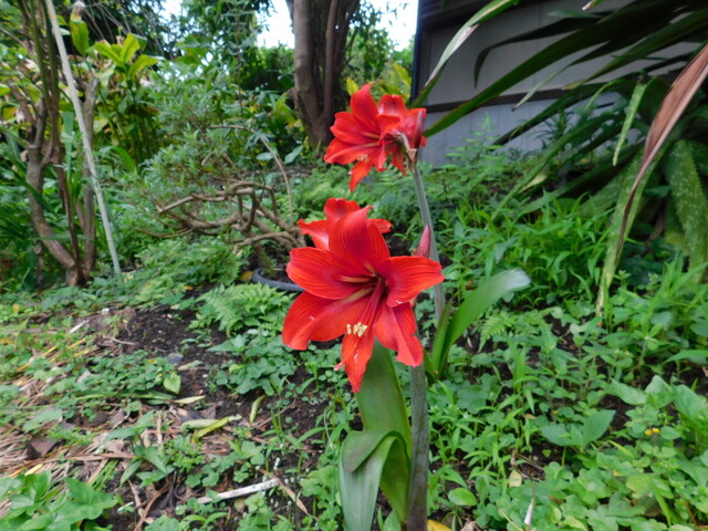 DSCN0077.JPG