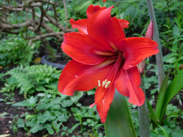 DSCN0079.JPG