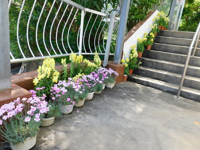 DSCN0092.JPG