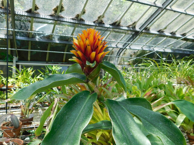 DSCN0103.JPG