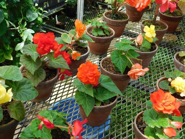 DSCN0111.JPG