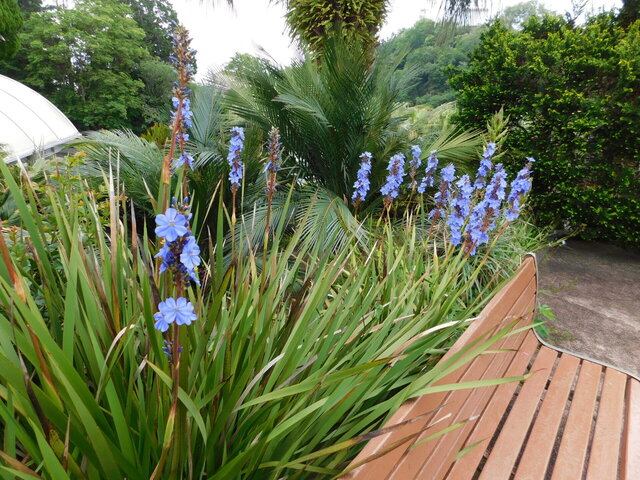 DSCN0121.JPG