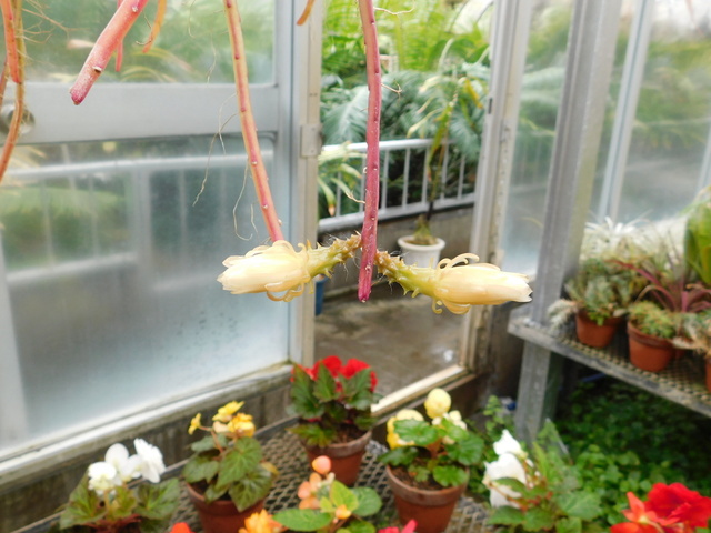 DSCN0132.JPG