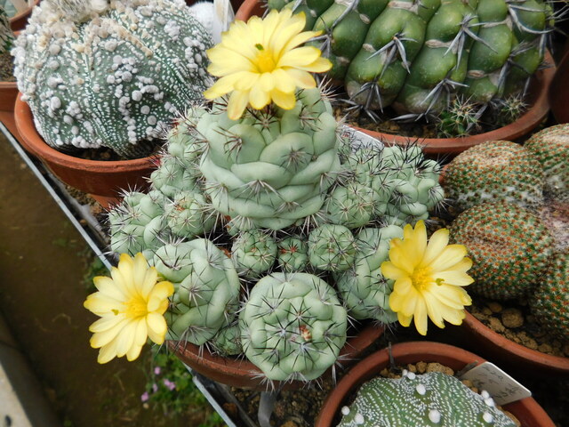 DSCN0174.JPG