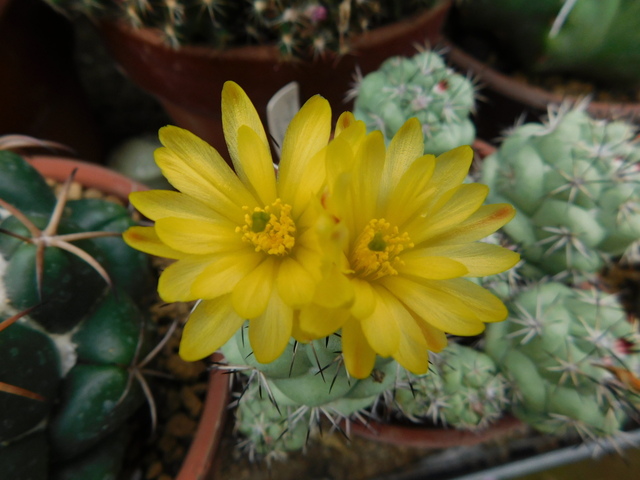 DSCN0177.JPG