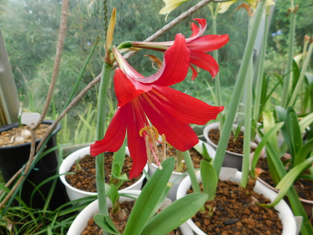 DSCN0179.JPG