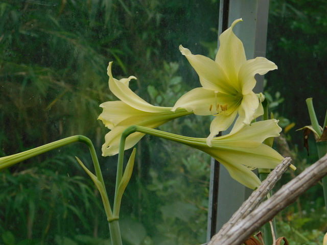 DSCN0183.JPG