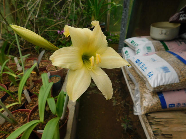 DSCN0187.JPG