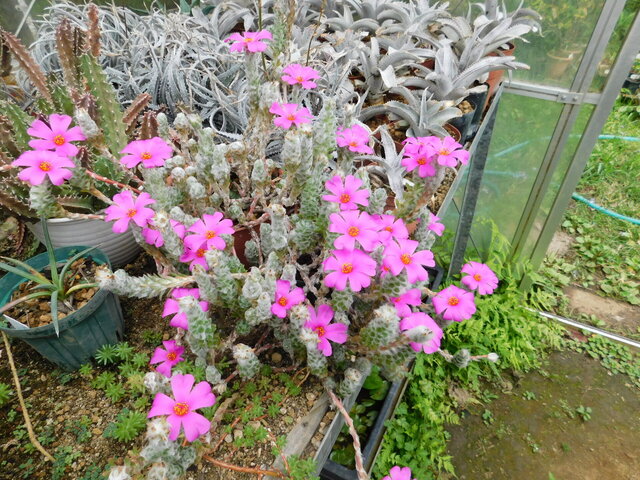 DSCN0219.JPG