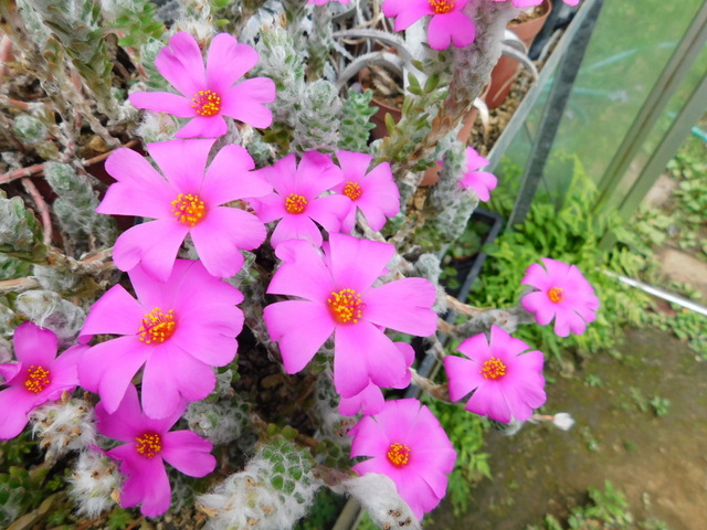 DSCN0221.JPG