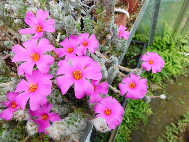 DSCN0225.JPG