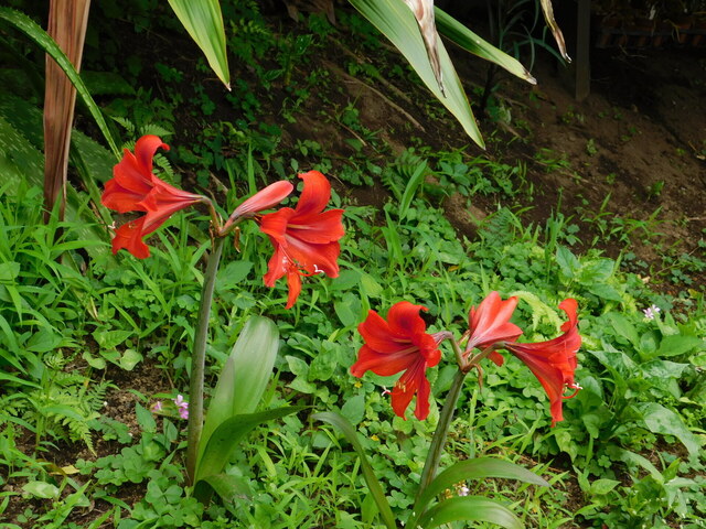 DSCN0227.JPG