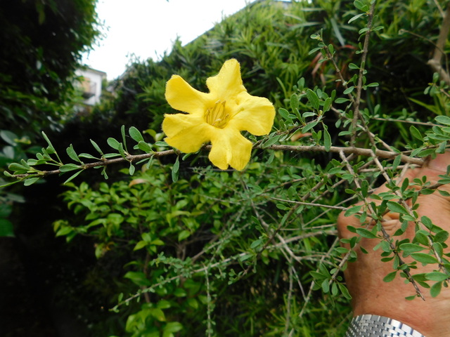 DSCN0245.JPG