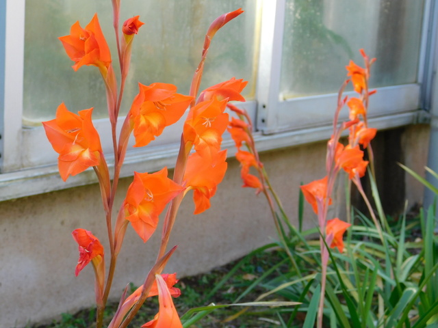 DSCN0665.JPG