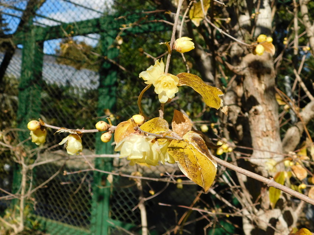 DSCN0671.JPG