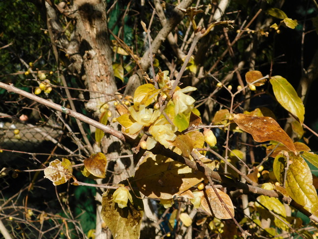 DSCN0673.JPG
