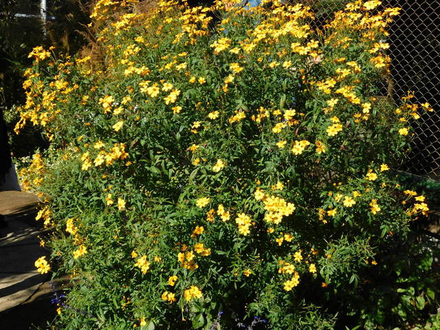 DSCN0675.JPG