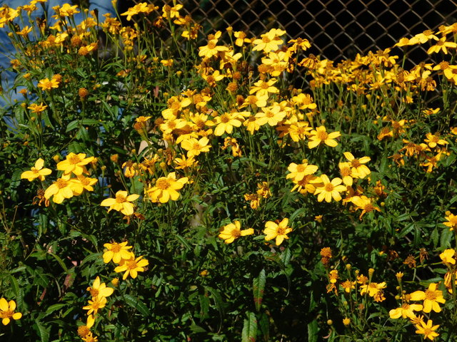 DSCN0677.JPG