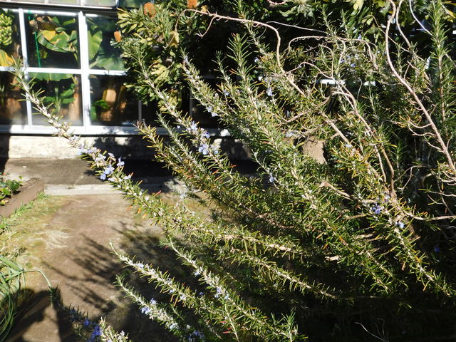 DSCN0683.JPG