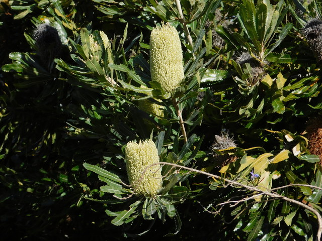 DSCN0687.JPG