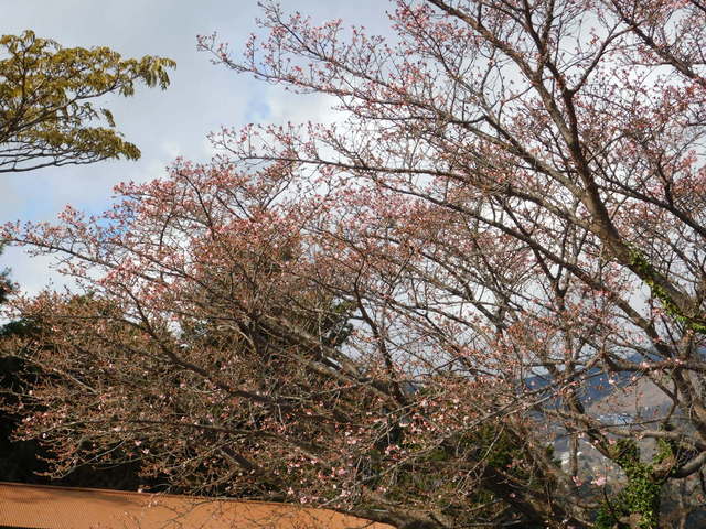 DSCN0768.JPG