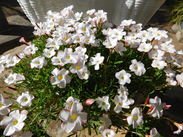 DSCN0791.JPG