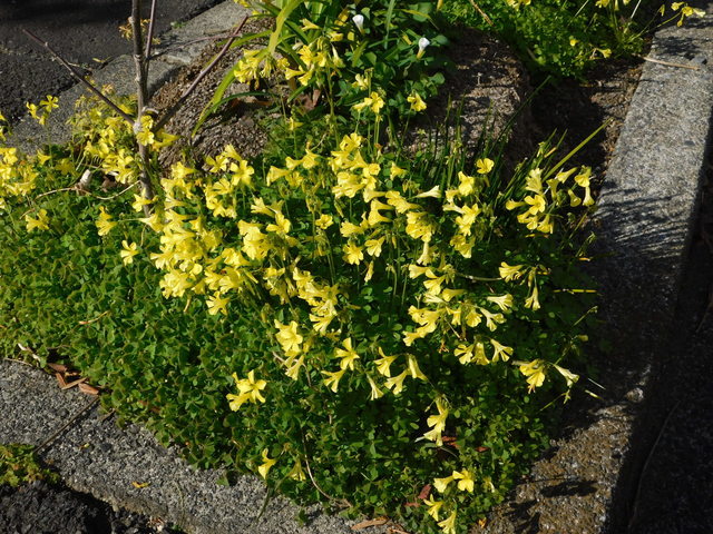 DSCN0891.JPG