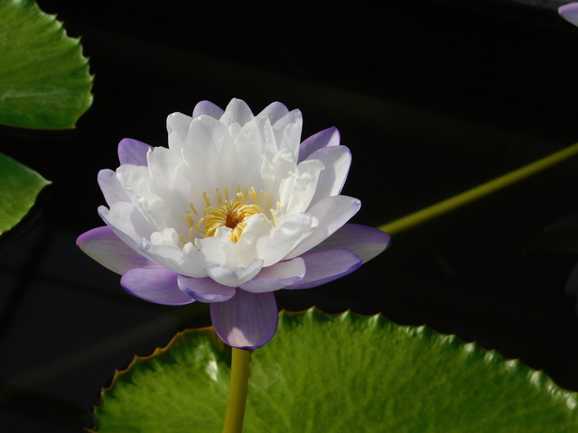 DSCN1092.JPG