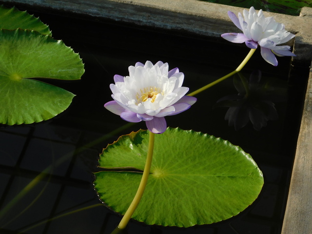 DSCN1094.JPG