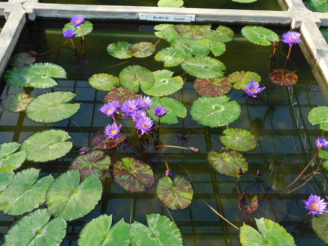 DSCN1097.JPG