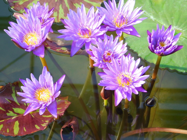 DSCN1099.JPG