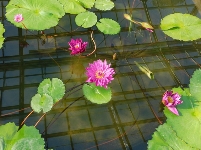 DSCN1101.JPG