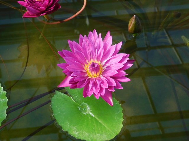 DSCN1103.JPG