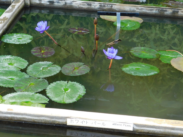 DSCN1105.JPG
