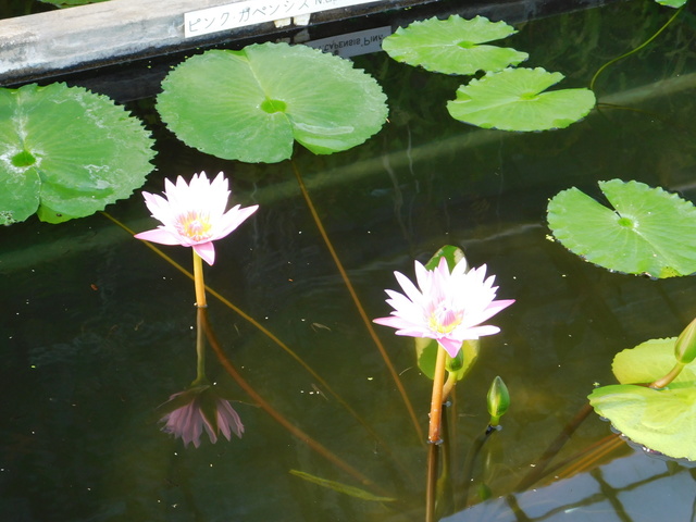 DSCN1109.JPG