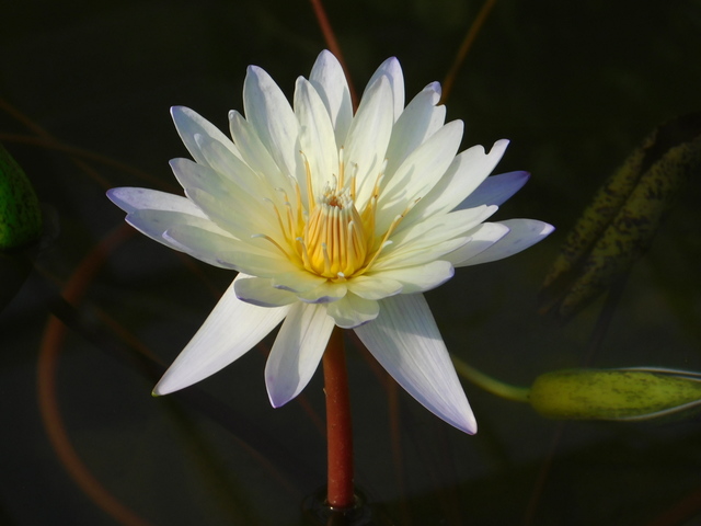 DSCN1118.JPG
