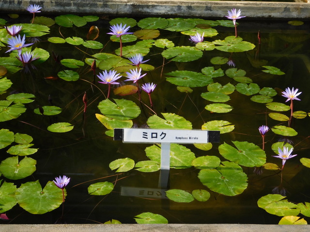 DSCN1120.JPG