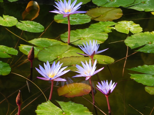 DSCN1122.JPG