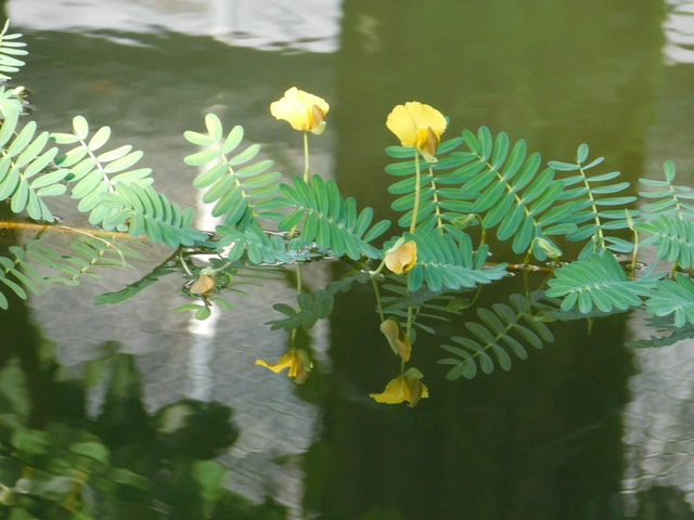 DSCN1127.JPG
