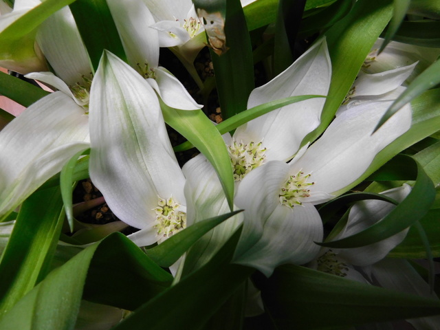 DSCN1158.JPG