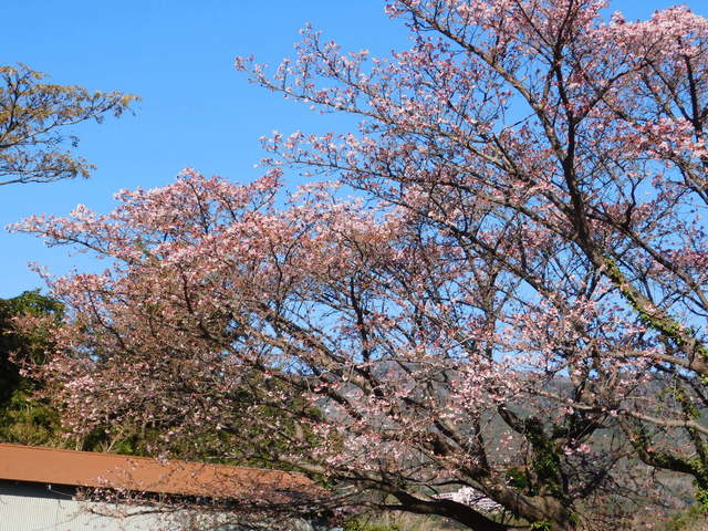 DSCN1171.JPG