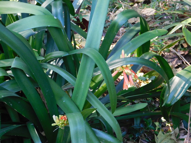 DSCN1270.JPG