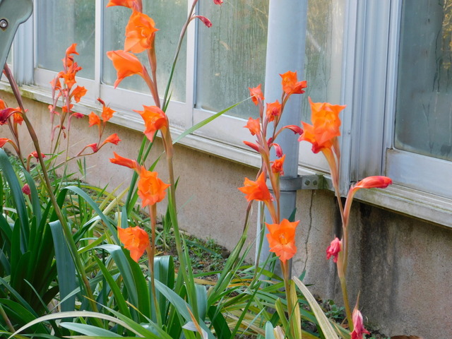 DSCN1274.JPG