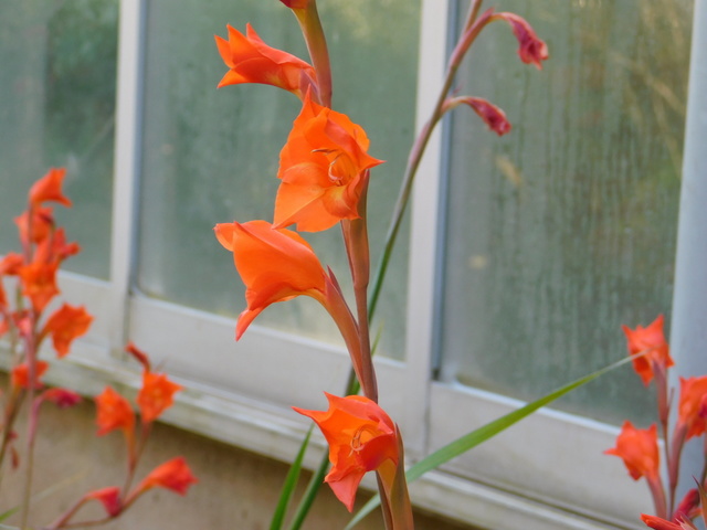 DSCN1275.JPG