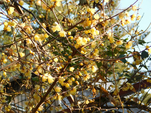 DSCN1284.JPG