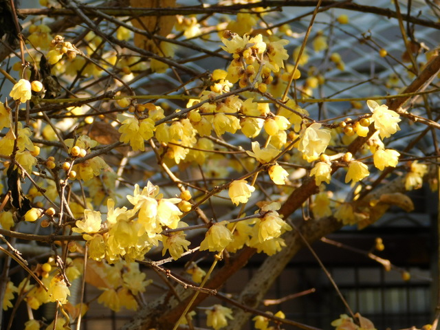 DSCN1286.JPG