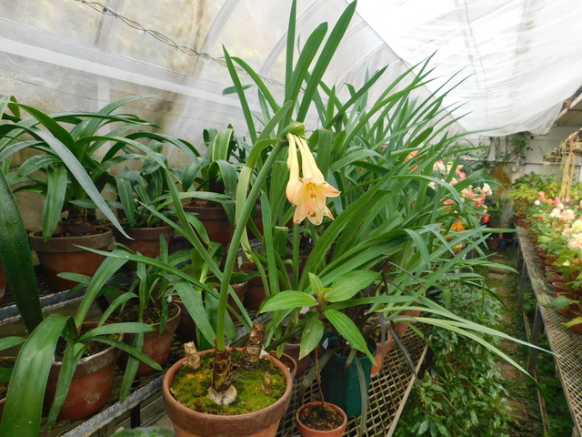 DSCN1348.JPG