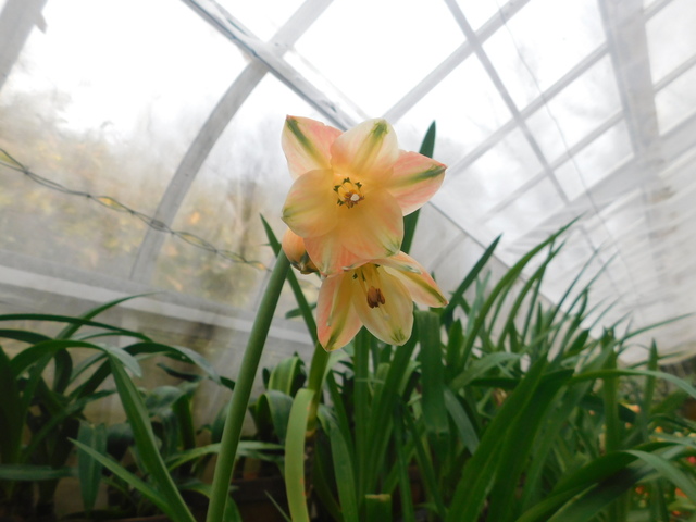 DSCN1349.JPG