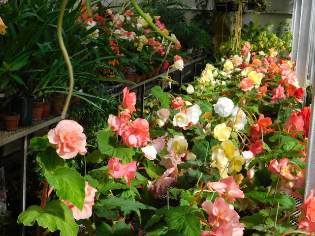 DSCN1357.JPG