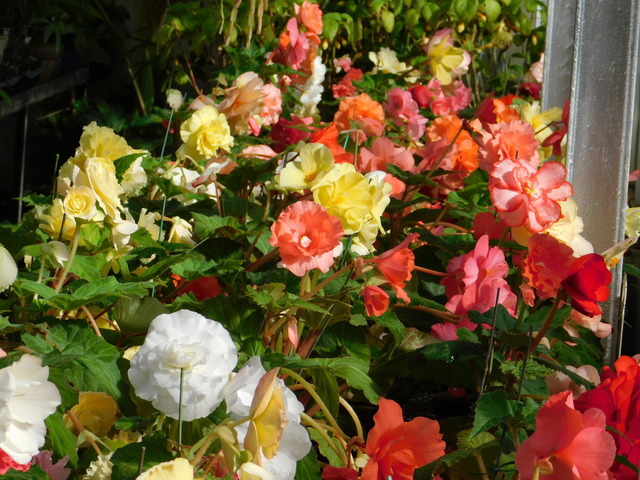 DSCN1359.JPG